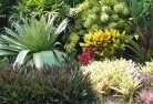 Strathfield Southplanting-garden-and-landscape-design-24.jpg; ?>